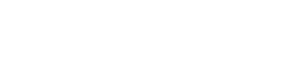STEM IP Logo